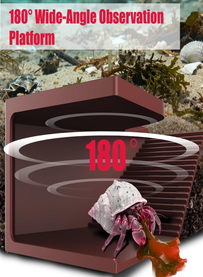 UNISOLODECHO Hermit Crab Hideout with Climbing Tunnel | Hermit Crab Climbing Toys| Hermit Crab Water Tank Accessories |Hermit Crab Habitat, Also Suitable for Sea Turtles, Lizards and Tarantulas - Image 5